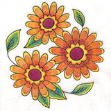 Color Theory Gerbera Daisy Feature