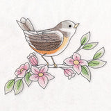 Birds & Blooms - American Robin
