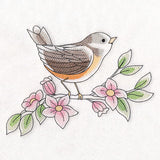 Birds & Blooms - American Robin