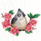 Black Crested Titmouse & Cherry Blossoms