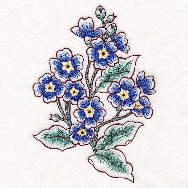 English Primrose in Bloom