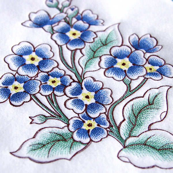 English Primrose in Bloom