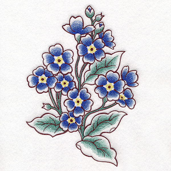 English Primrose in Bloom