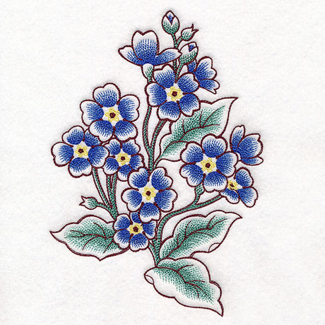 English Primrose in Bloom