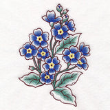 English Primrose in Bloom