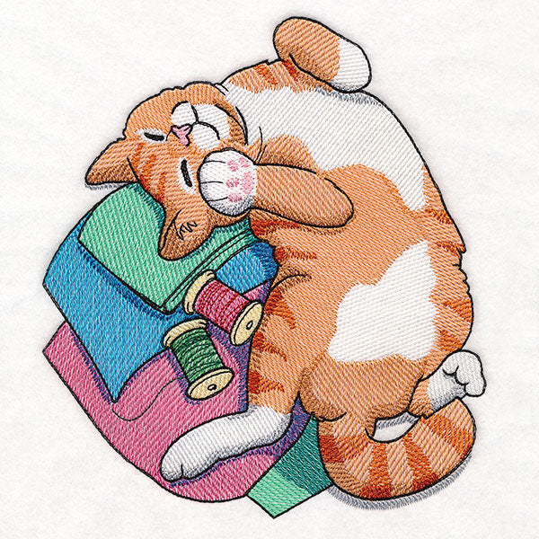 Sleeping on Fabric Kitty