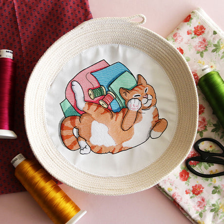 Sleeping on Fabric Kitty