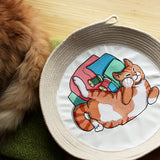 Sleeping on Fabric Kitty