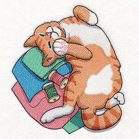 Sleeping on Fabric Kitty