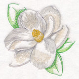 Contours of Beauty Magnolia