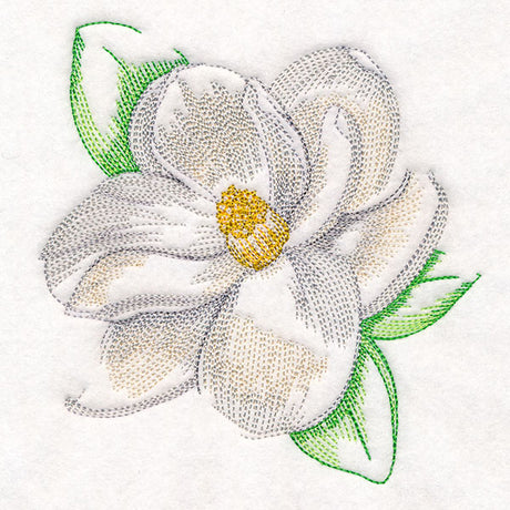 Contours of Beauty Magnolia