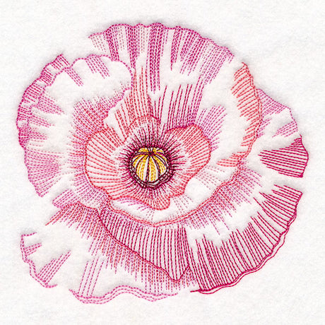 Contours of Beauty Poppy