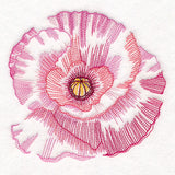 Contours of Beauty Poppy