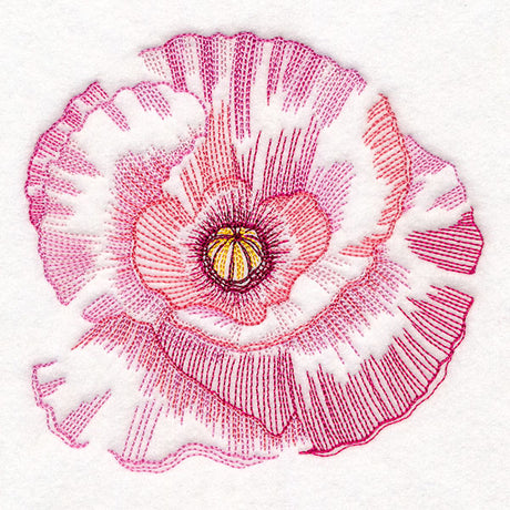 Contours of Beauty Poppy