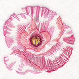 Contours of Beauty Poppy