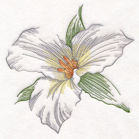 Contours of Beauty Trillium