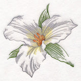Contours of Beauty Trillium