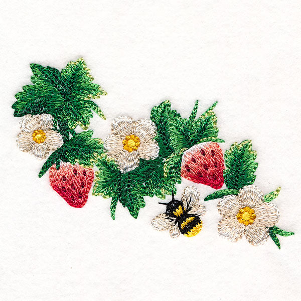 Sweet as Can Be - Spray