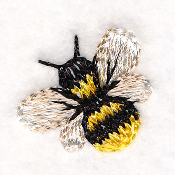 Sweet as Can Be - Bee