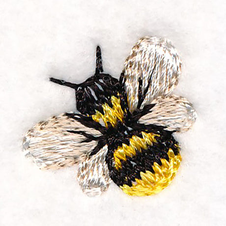 Sweet as Can Be - Bee