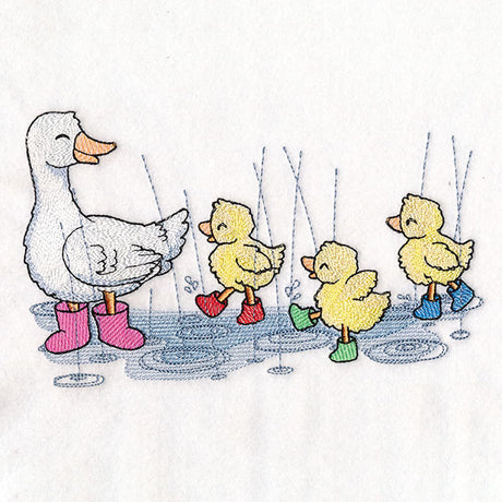 Splish Splash Duck Family