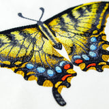 Swallowtail Specimen