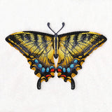 Swallowtail Specimen