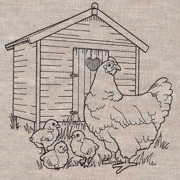 Hen and Chicks at the Chicken Coop Etching