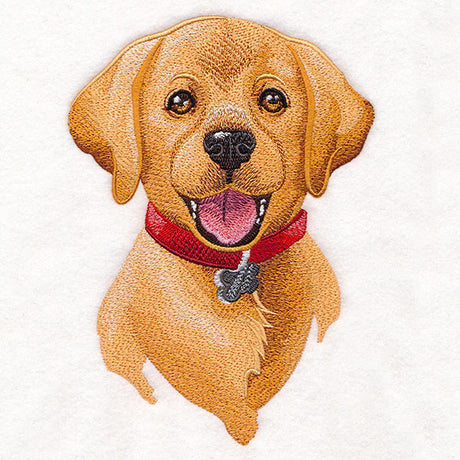 Cheerful Puppy Portrait