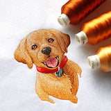 Cheerful Puppy Portrait