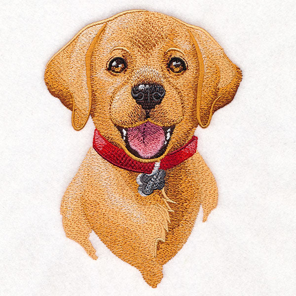 Cheerful Puppy Portrait