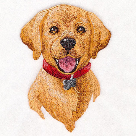 Cheerful Puppy Portrait