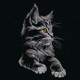 Majestic Gaze Kitten