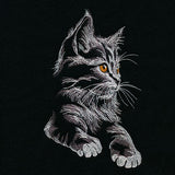 Majestic Gaze Kitten