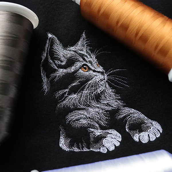 Majestic Gaze Kitten