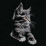 Majestic Gaze Kitten