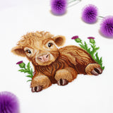 Sweet Highland Calf