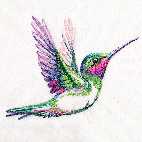 Radiant Hummingbird Flight