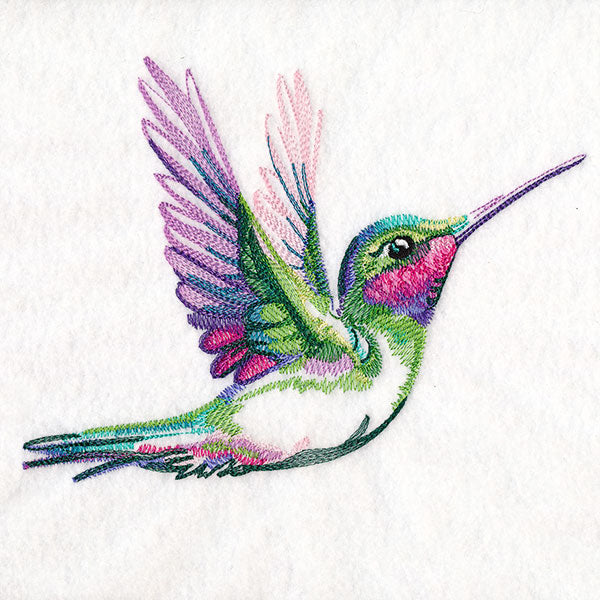 Radiant Hummingbird Flight