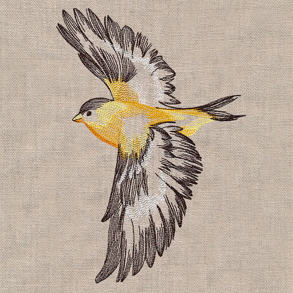 Contours of Beauty Goldfinch