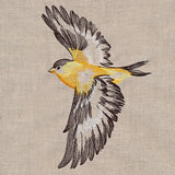 Contours of Beauty Goldfinch