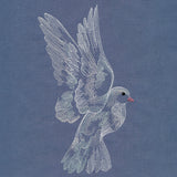 Contours of Beauty Dove