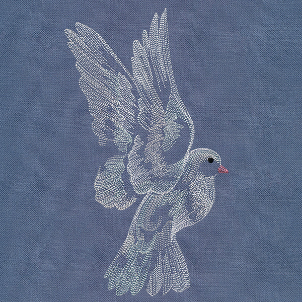 Contours of Beauty Dove