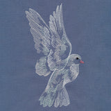 Contours of Beauty Dove