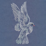 Contours of Beauty Dove