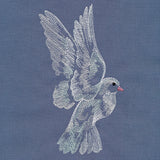 Contours of Beauty Dove