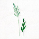 Wildflower Garden - Leaf