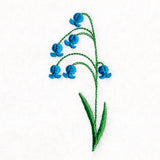 Wildflower Garden - Bluebell