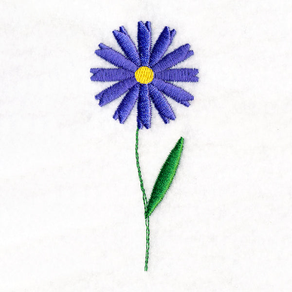 Wildflower Garden - Daisy