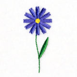 Wildflower Garden - Daisy